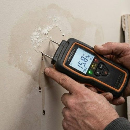 Moisture Meter Detecting Water Leaks