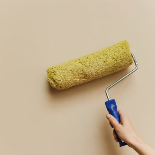 attractive home Painting designs